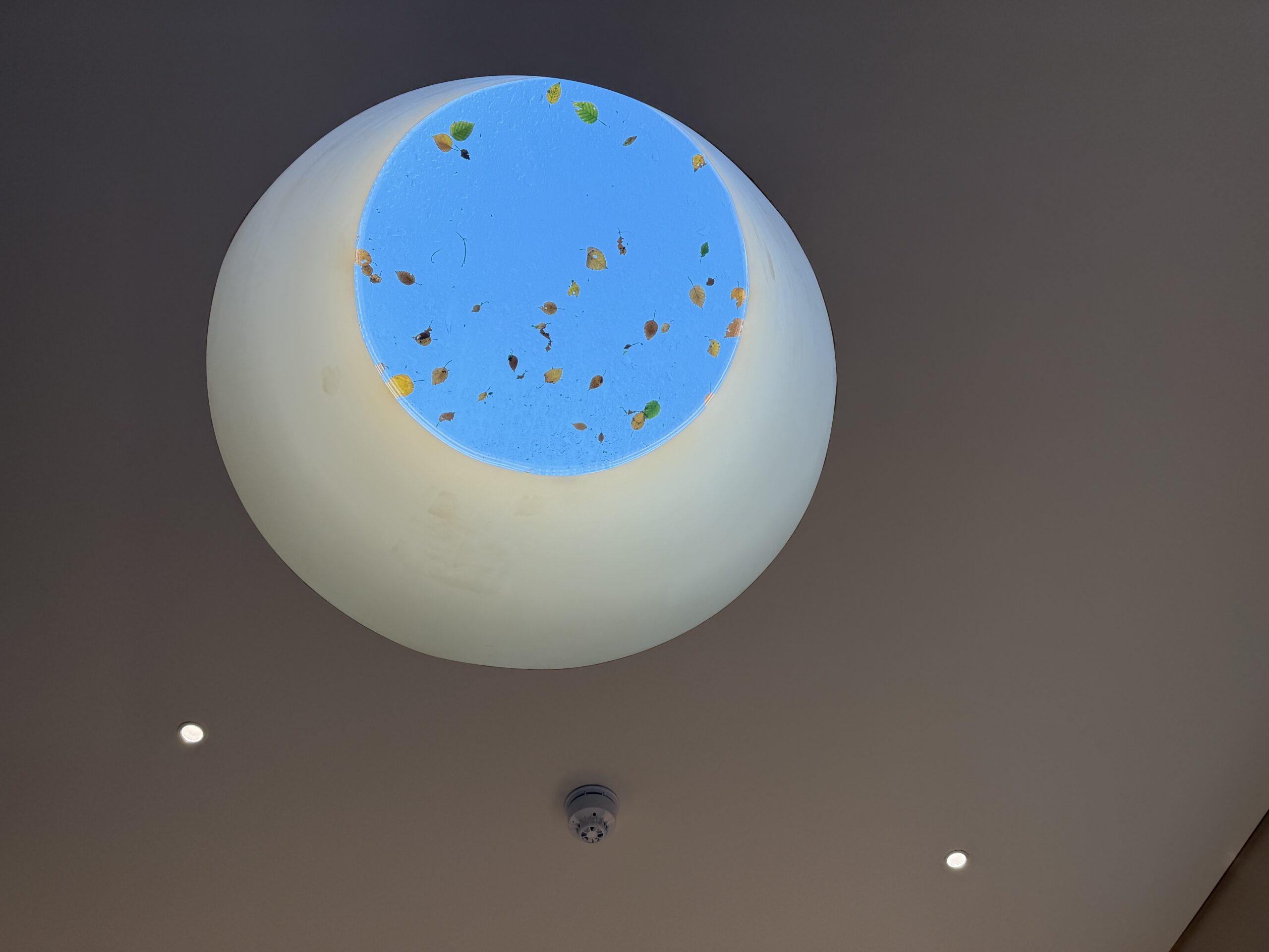 Large Flat Glass roof light interior